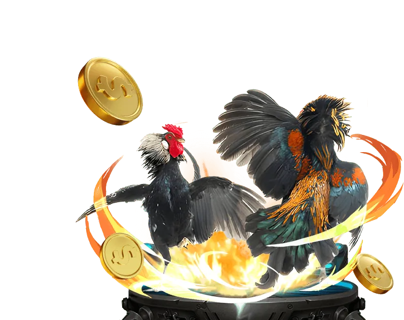 Cá cược bóng đá với các giải đấu lớn tại vip666 tài